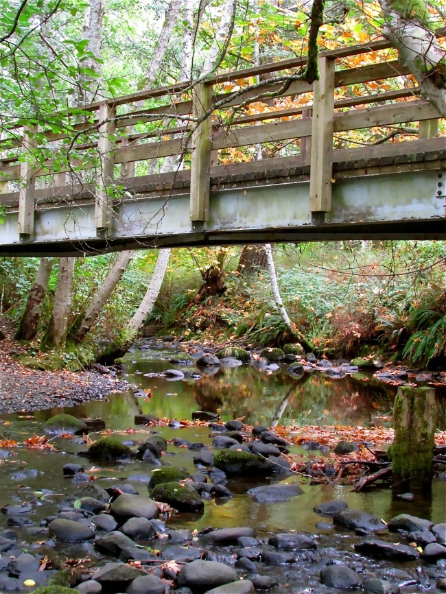 Autumn Bridge.