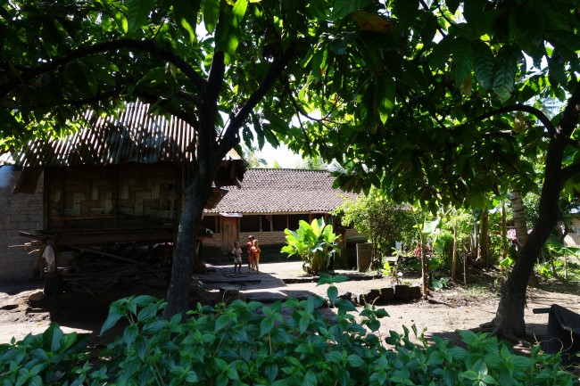 Mayong Village Home