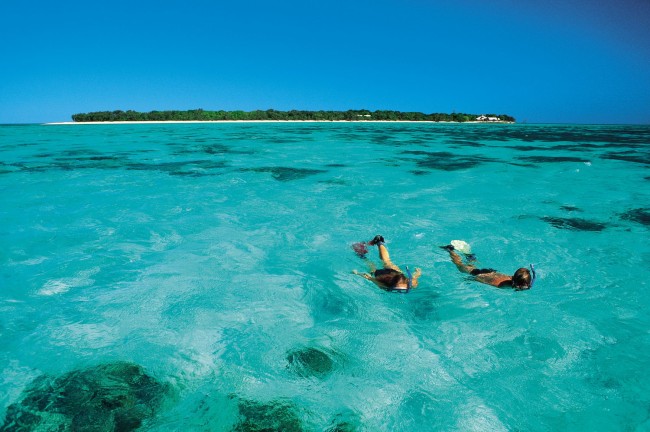 Snorkelling Off Heron Island