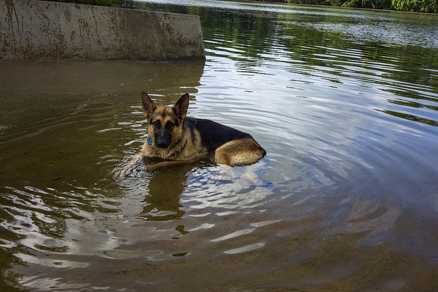 "Kai" Cooling Off