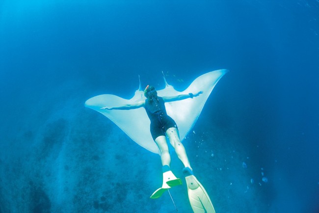 Ningaloo Marine Park - diver with a manta ray