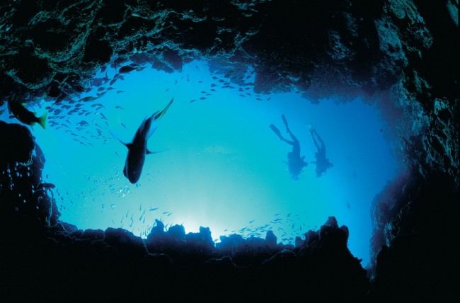 Divers at Ningaloo Marine Park