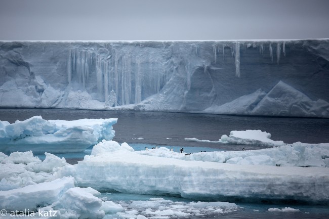 Antartica Iceberg © Atalia Katz