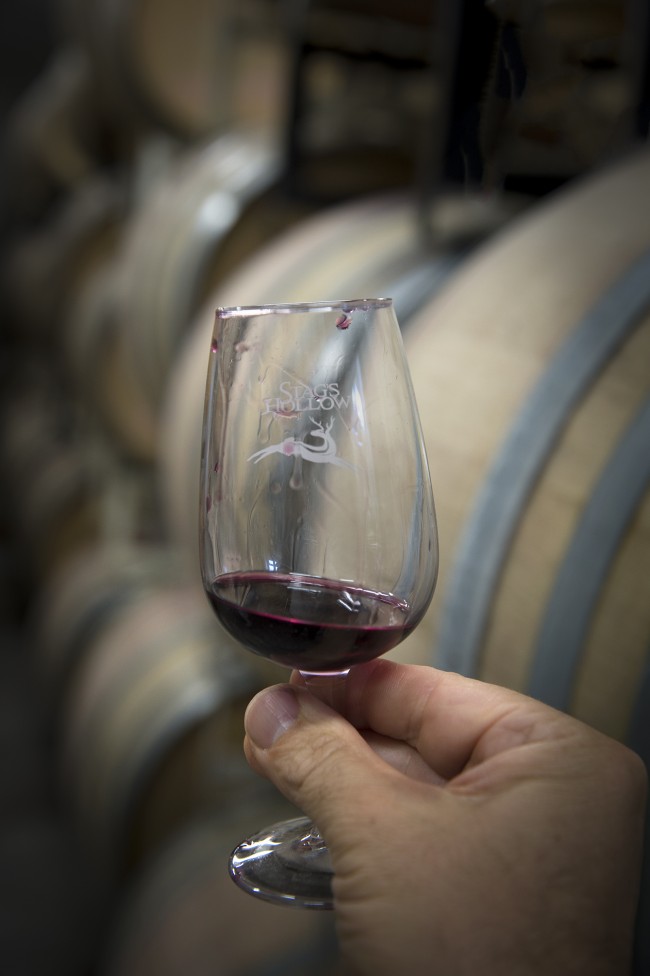 Barrel Tasting, Okanagan Valley