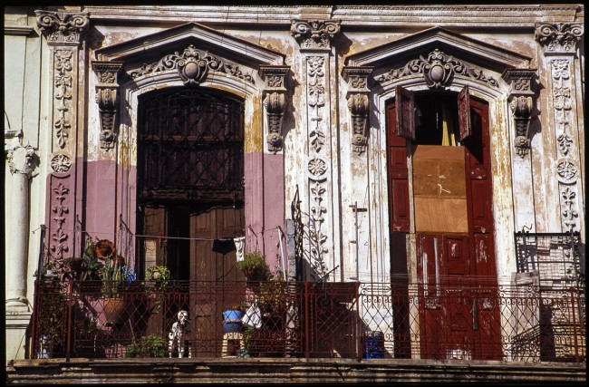Dog on Balcony, Old Havana, Cuba, 2010 © Paul Cooklin