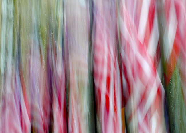 Red, White & Green © Kim Manley Ort