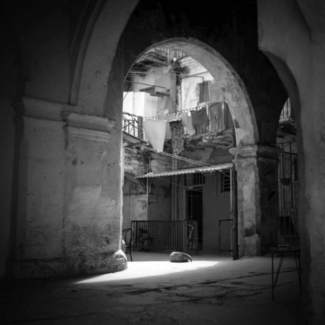 Sleeping Dog, Courtyard, Havana, Cuba 2010