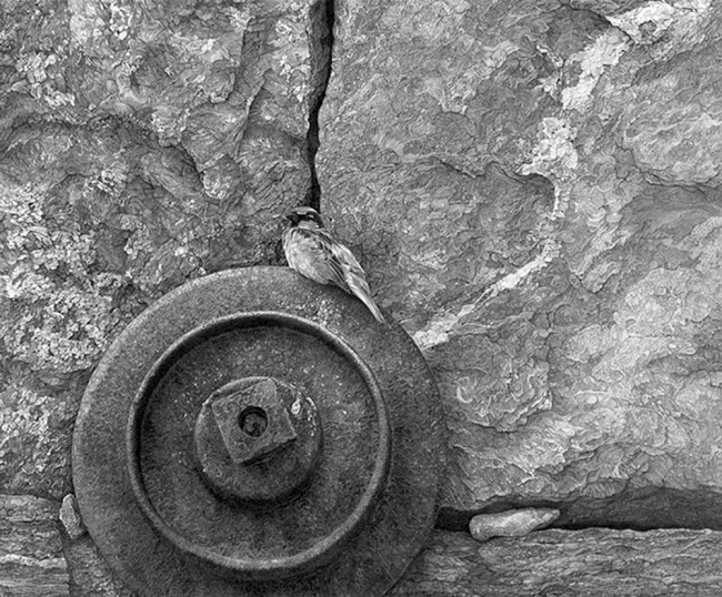 Stonemill and Sparrow  © Ryan Jacque