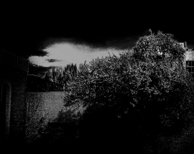 From the window ...