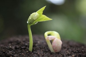 Miracles