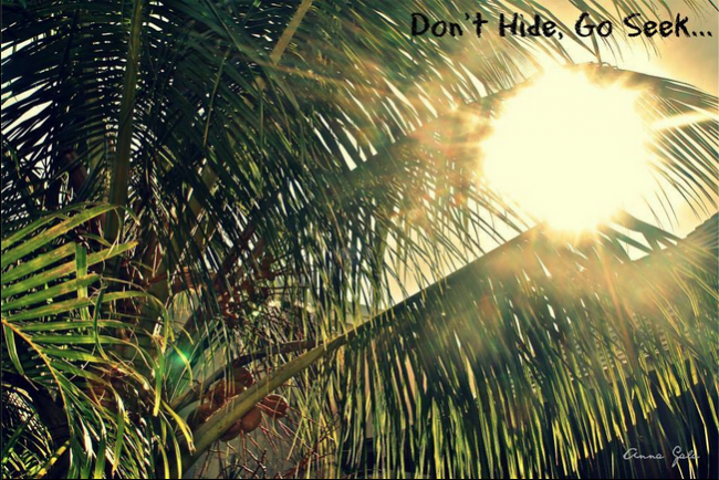 Go Seek