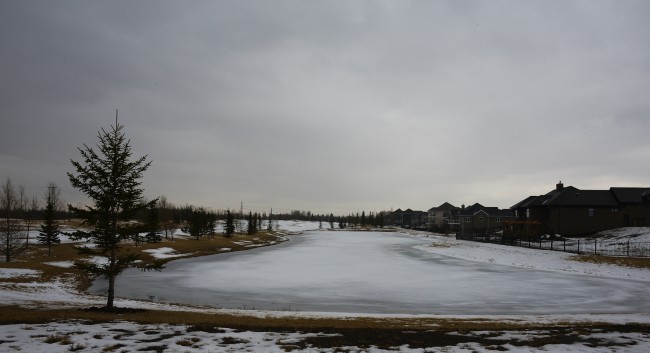 Frozen Pond