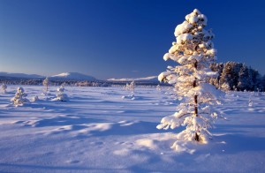 Snow and sun