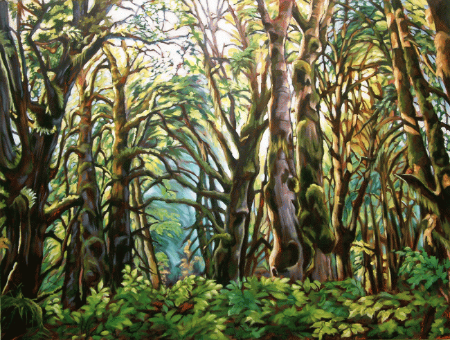 rainforest-cathedral