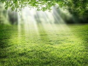 Light