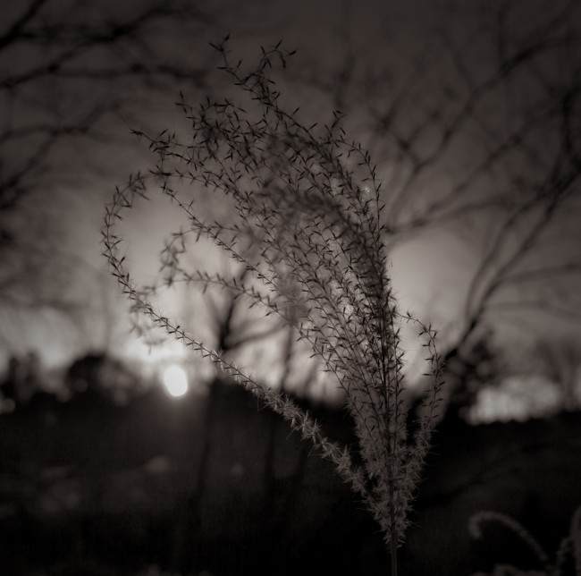 Tennessee Sunset © Paul Elliott