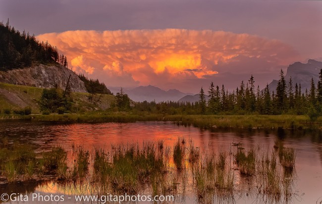 Thunderhead