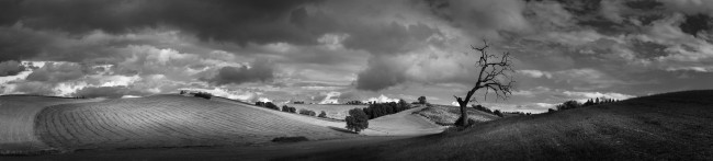 Tuscany #1 © Paul Elliott