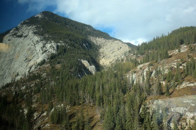 Climbing the Mountain
