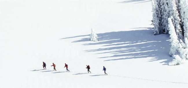 Skiers on Trophy Mountain © Murphy Shewchuk