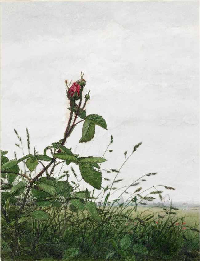 Léon Bonvin - Rose and Grasses