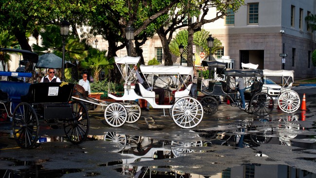 Horse Carriages - San Juan © Rick Perry