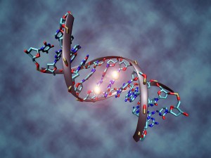1024px-DNA_methylation