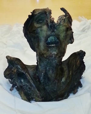 Oldest European anatomical dissecton