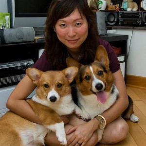Happy Dogs