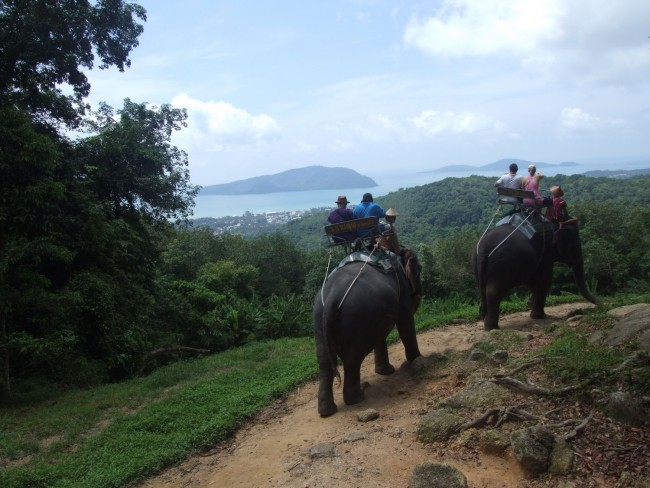 Looking out over Kata Beach and Chalong Bay, Phuket, Thailand on a jungle track at the Sea View Elephant Camp.
