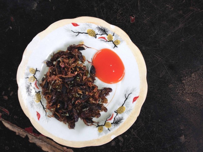 Fried egg and insects!