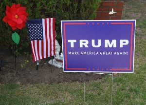 Trump Banner