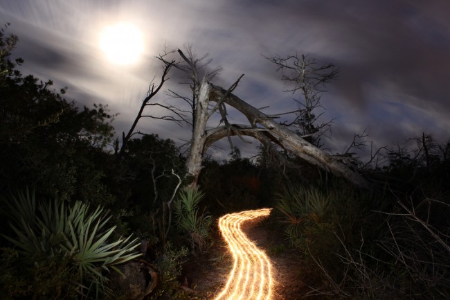 Light Painting - Light Trails @ Jason D. Page