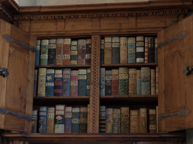 Old Bookshelf