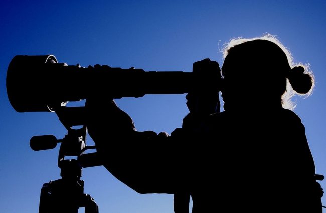 Photographer