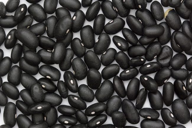 Black Turtle Beans