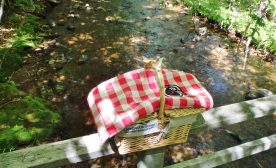 Delectable picnic basket by the creek