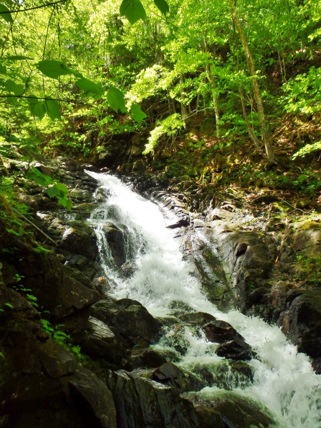 MacIntosh Brook Falls