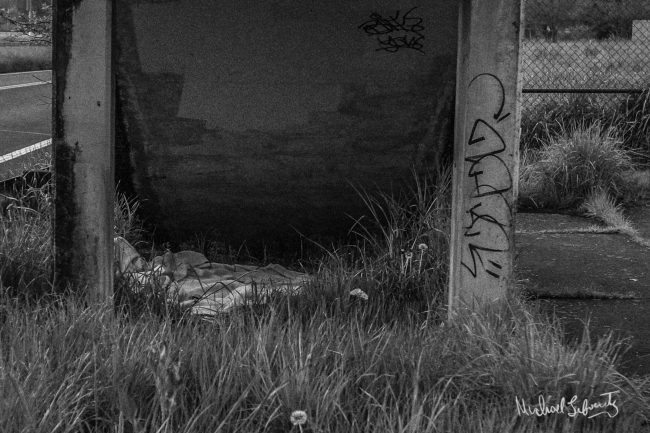 sleepin' in the park (1)