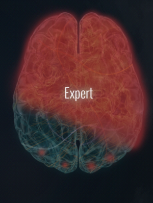 Expert Brain
