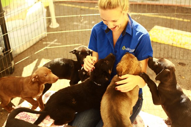 Shannon and shelter puppies