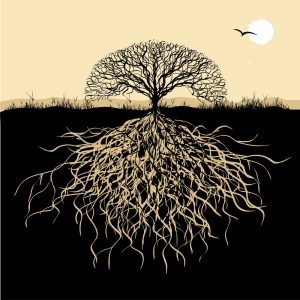 Strong family roots